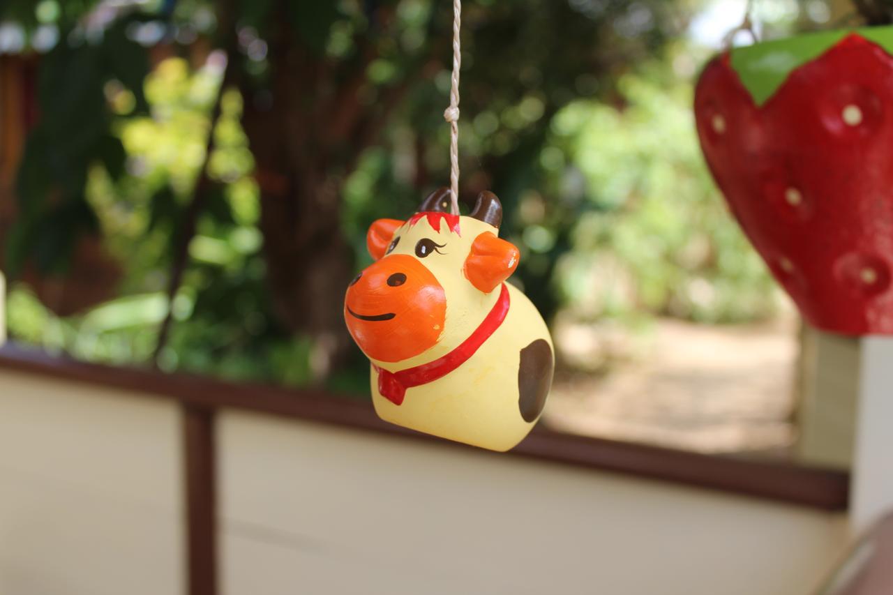 Hotel Coco Island サンジルレバン エクステリア 写真